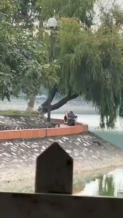 Pagi di pinggir danau ngentot bareng ketahuan direkam diam-diam