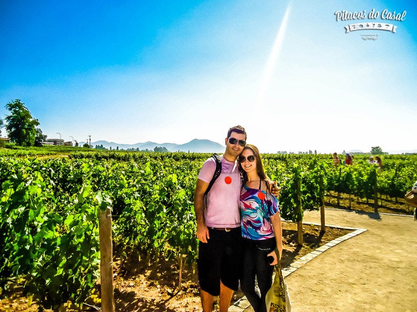 Vinícola Concha y Toro, Chile