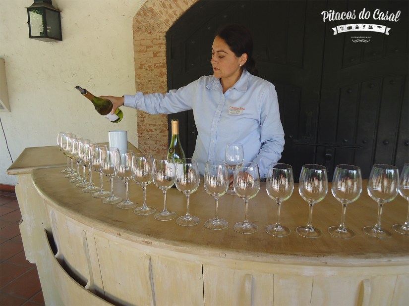 Vinícola Concha y Toro, Chile